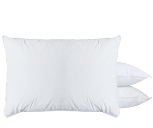 Oreiller Plume Duvet