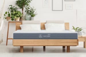 aucuba matelas rene